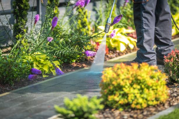 Best Restaurant Pressure Washing  in Rosita, TX